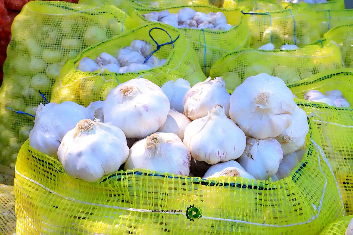 الجبهة الاقتصادية اليمنية tweet media