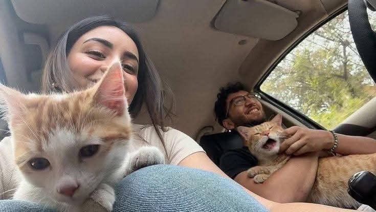 بحر 🌊 tweet media