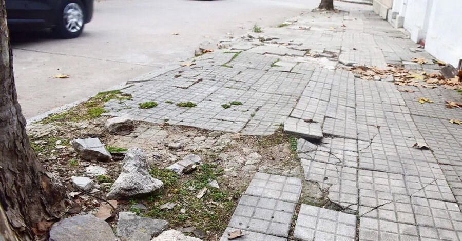 Feliza Cabrera 🇺🇾 tweet media