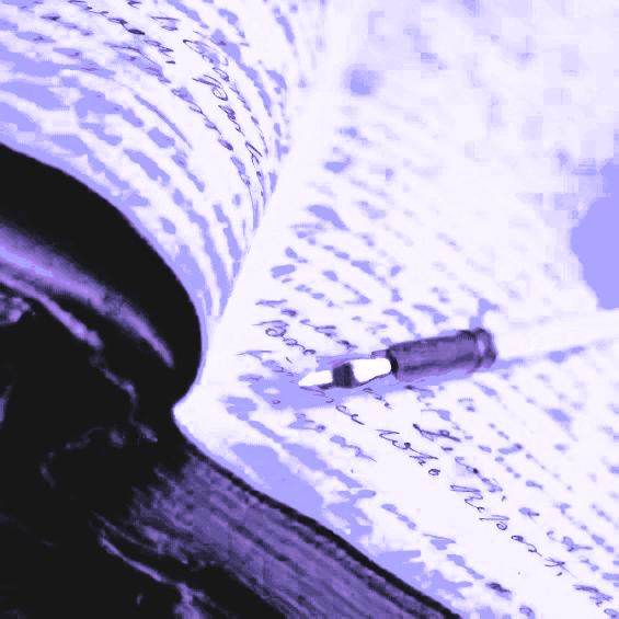 𝐚 𝕽𝑶𝑺𝑨 𝐝𝐨 𝐏𝐎𝐕𝐎. tweet media