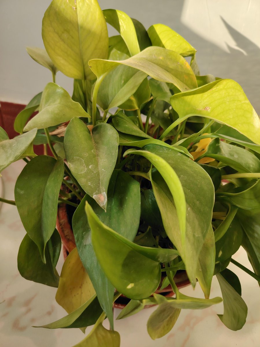 annewang tweet media