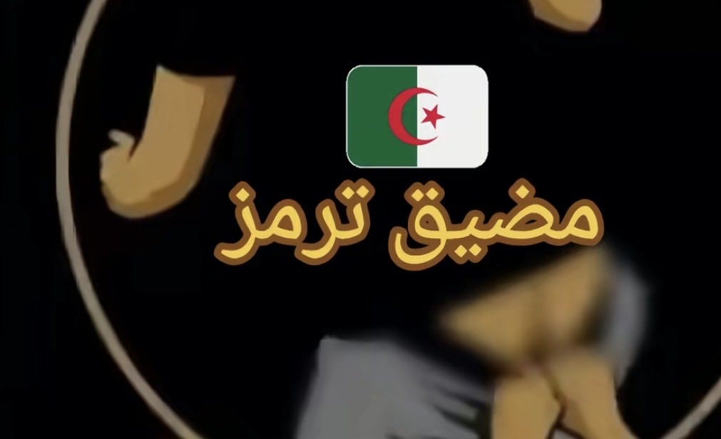 Amira Ryss🇲🇦🇬🇧 tweet media