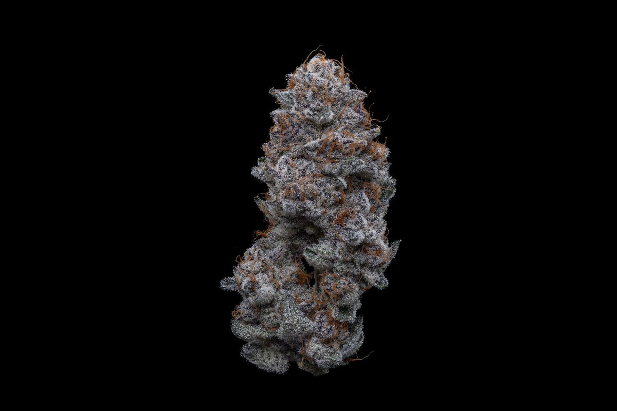Saltbaggrows tweet media