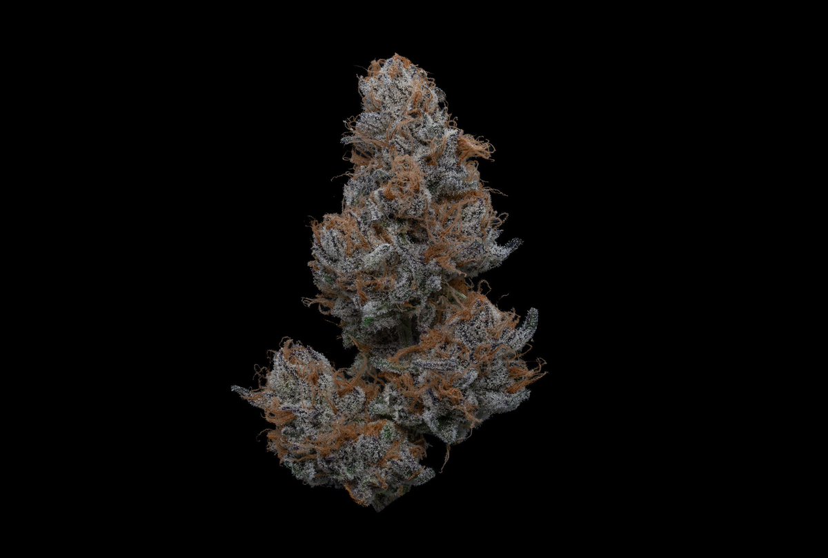 Saltbaggrows tweet media