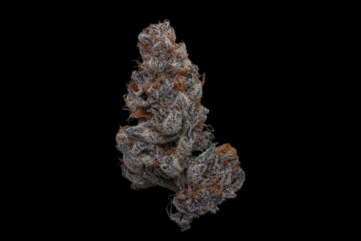 Saltbaggrows tweet media