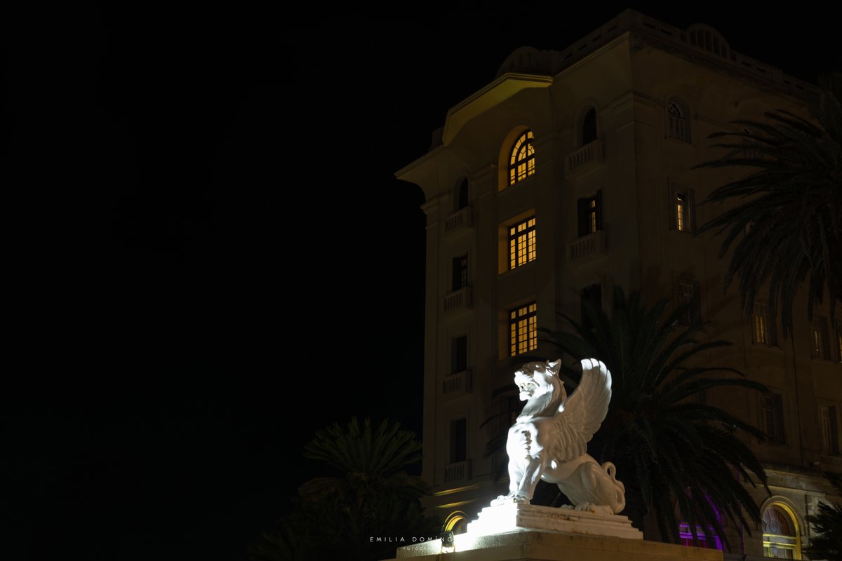 Emilia Domínguez tweet media