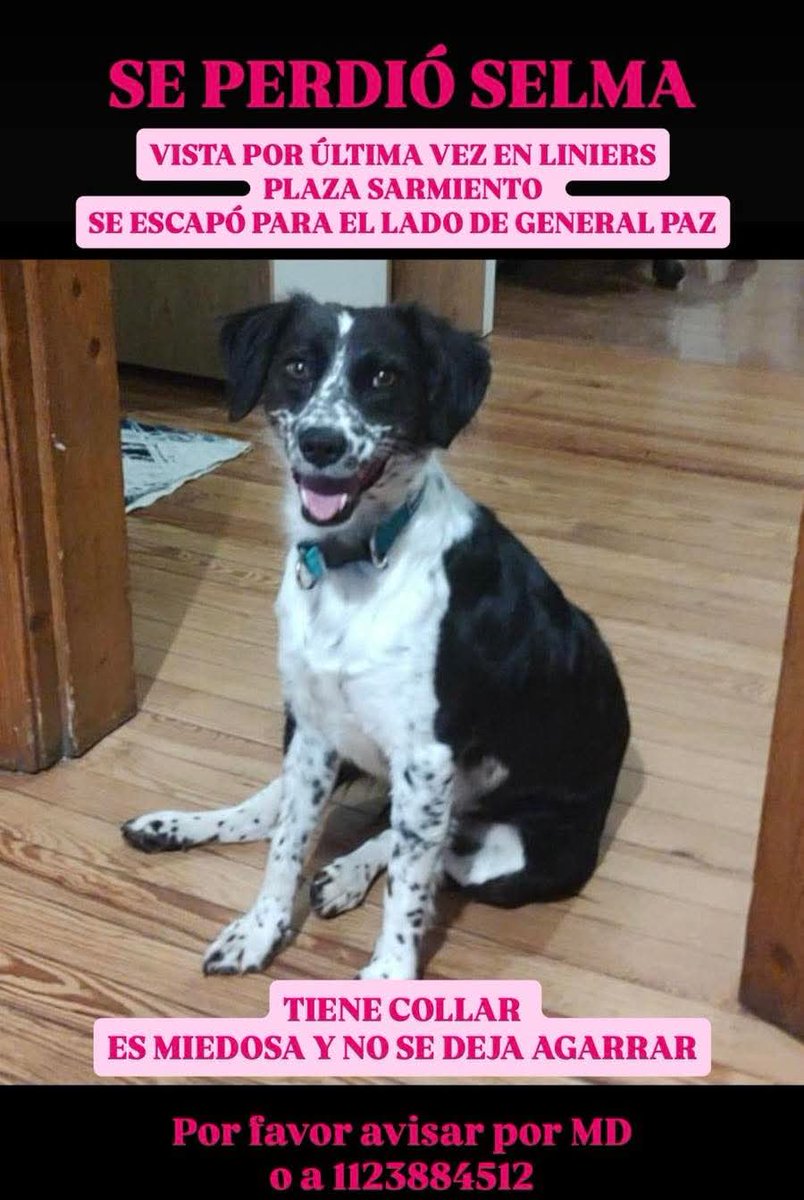 El Campito Refugio tweet media