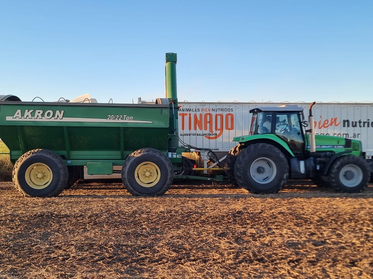 TinagoAB's tweet photo. ¡Calidad desde la cosecha!  Nuestro expeller de soja es el resultado de un proceso de extrusión de alta calidad para granjas de porcinos, avícolas y rumiantes. #Tinago #ExpellerDeSoja #NutriciónAnimal
https://t.co/EUcichpt4C https://t.co/2HD8SjaUZi