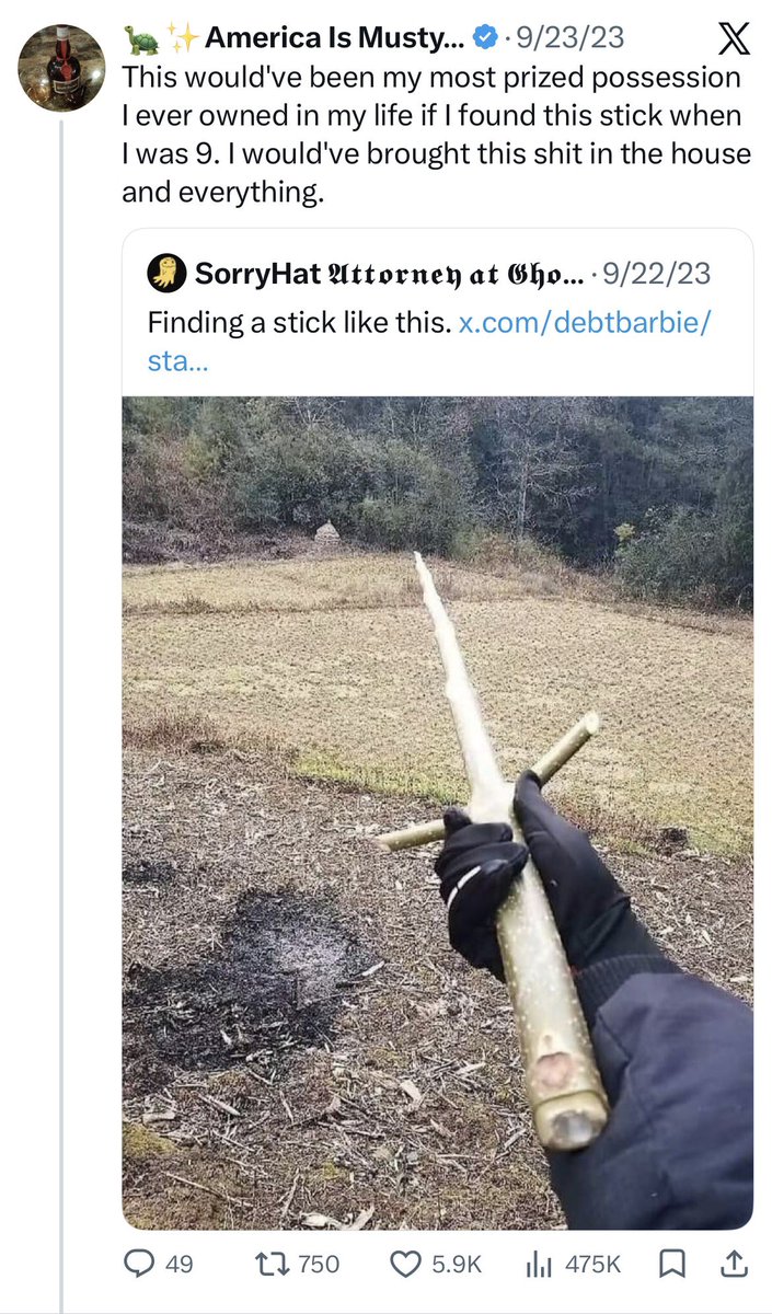 They Have Sticks You want to talk sticks? Let’s talk sticks. I think of this one ...