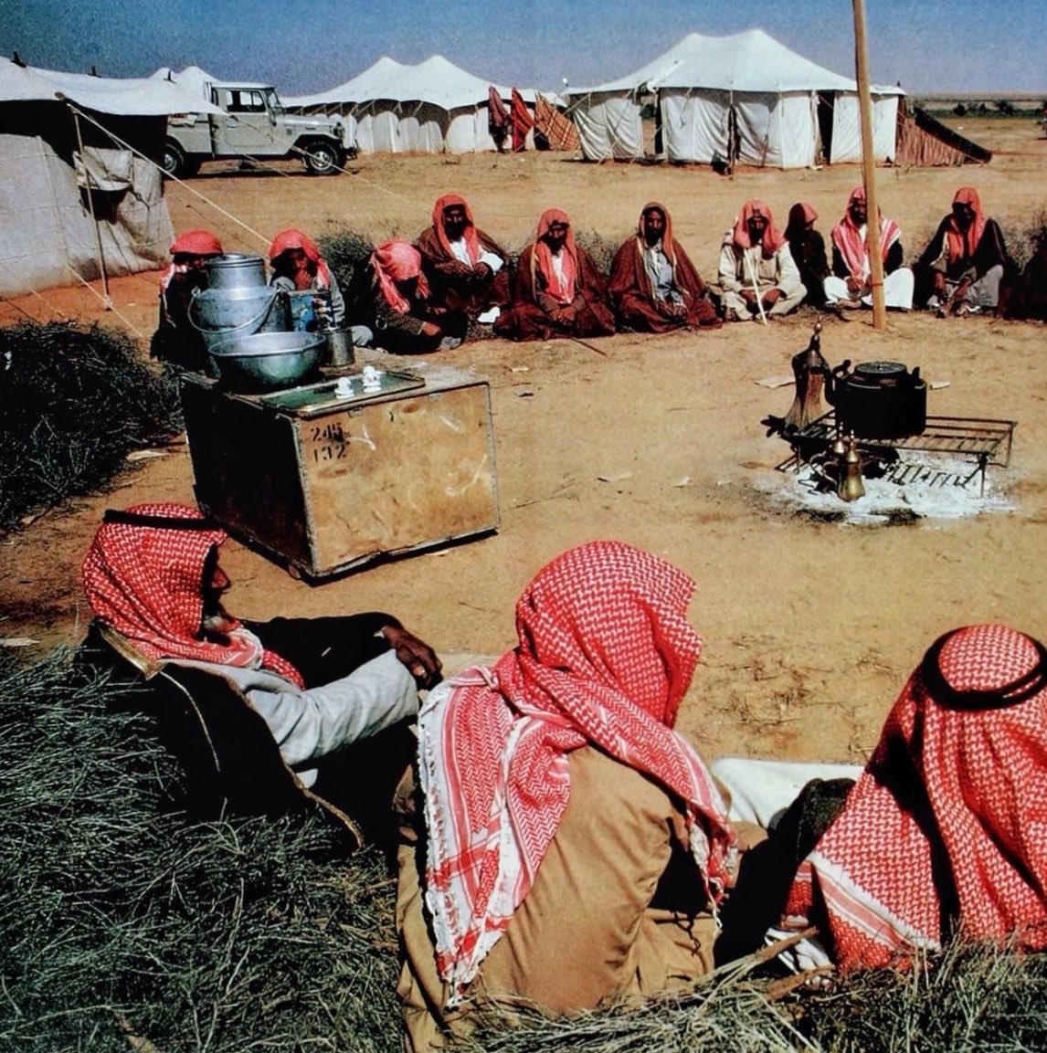 زوومـّان tweet media