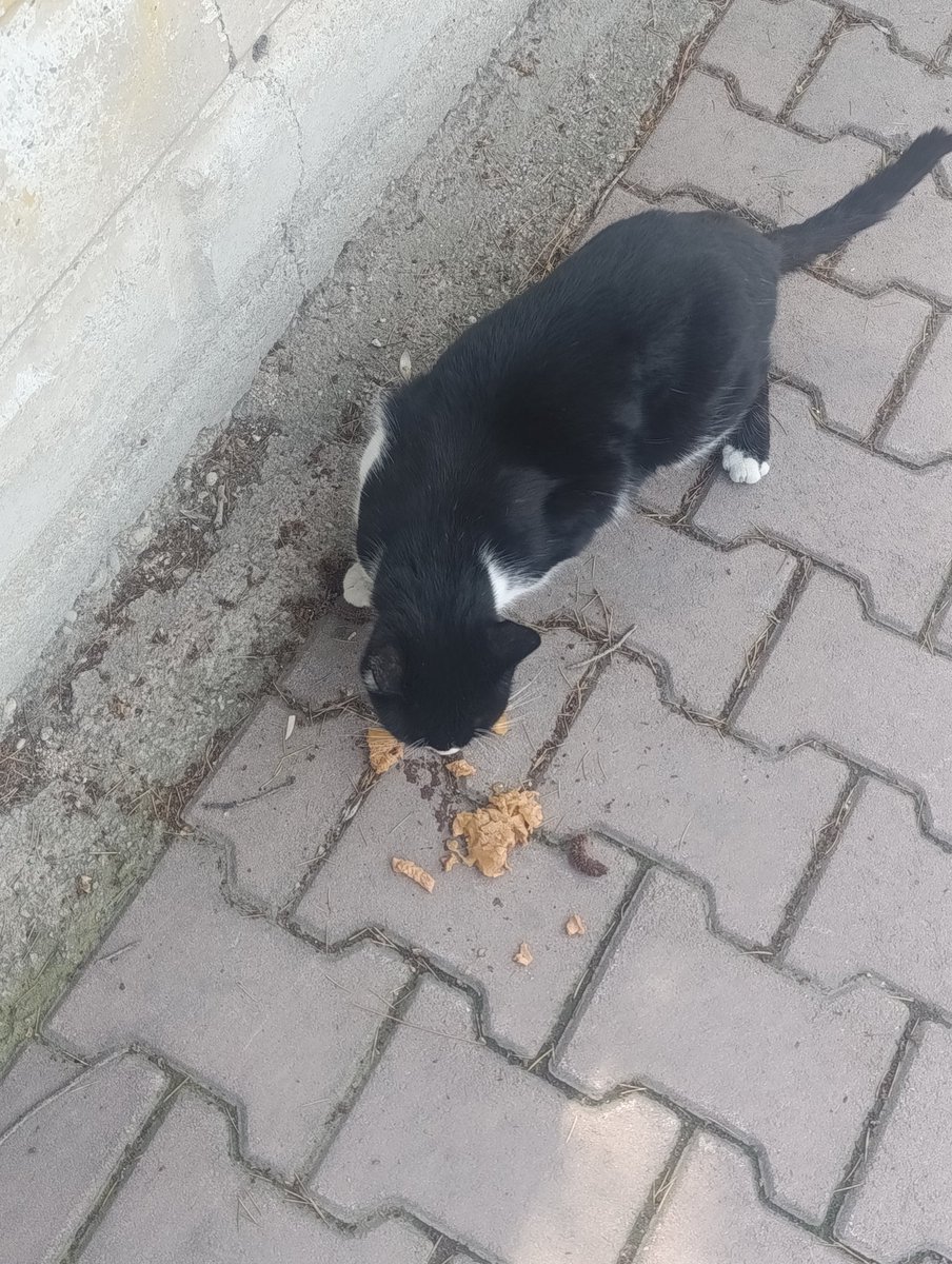 Zoktayımm, güzel kalplim daha çok parlayacağın bir yıl olsun seni ve o güzel kalbini çok seviyorum iyi ki doğdun iyi ki varsın 💙