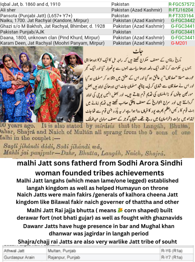 Sudodudo tweet media