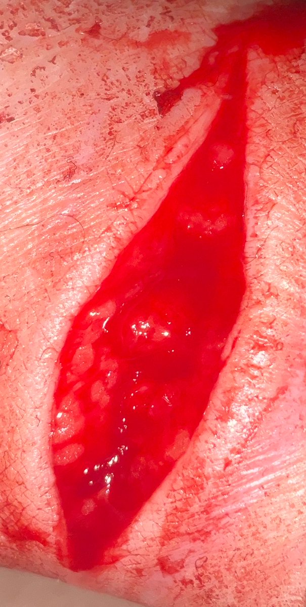 Dove † • Vittorino of shedtwt • † tweet media