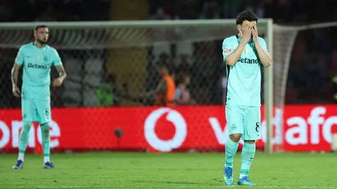 Nunomel 🦁🇺🇸 tweet media