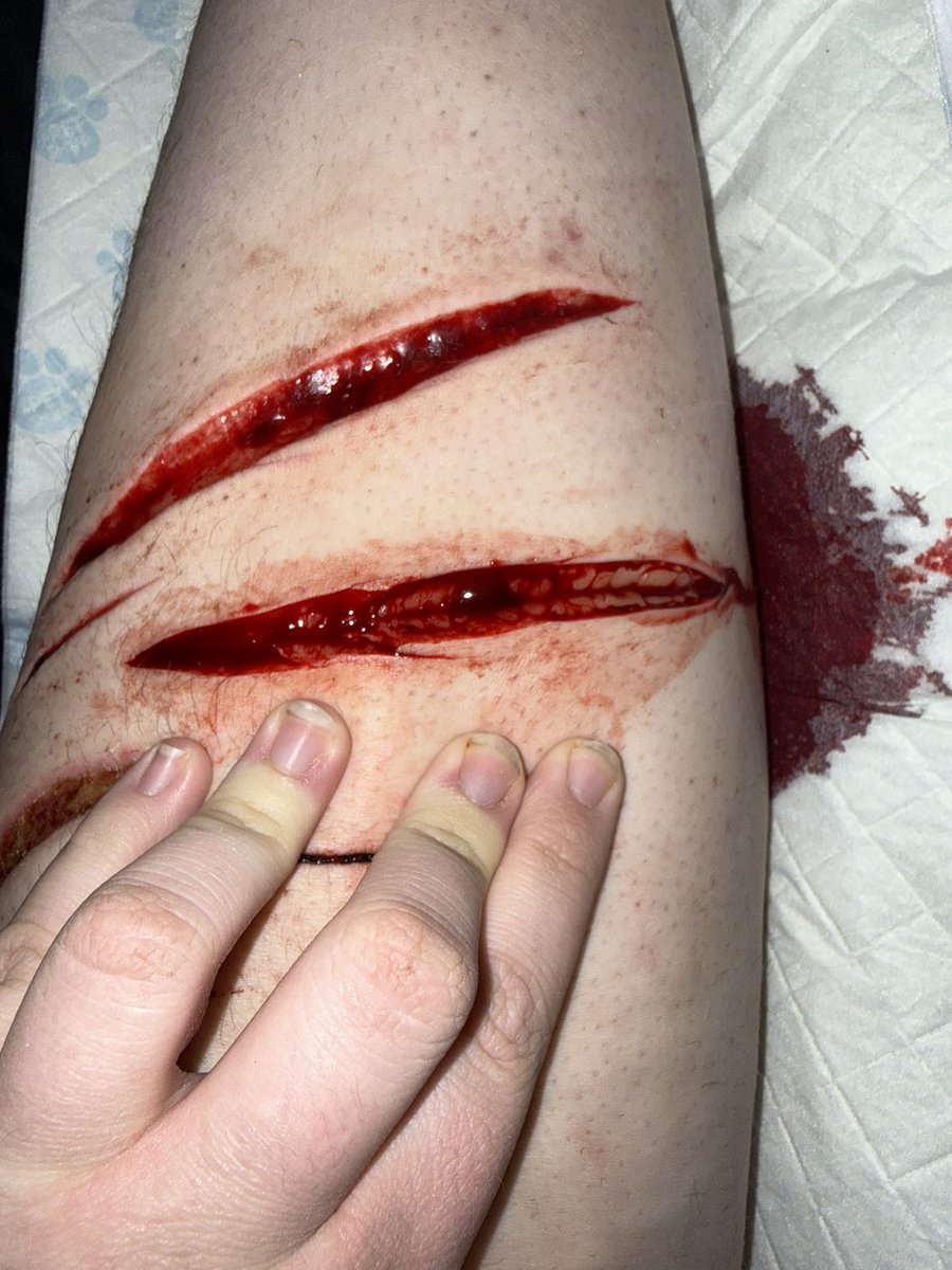 victoria/tori ❄️ tweet media