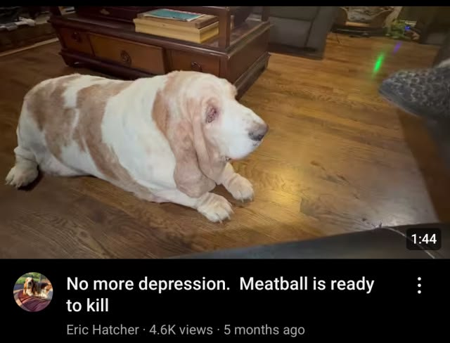 𝖈𝖍𝖆𝖇𝖆𝖟𝖎𝖙𝖊 (@raisinchoirgirl) on Twitter photo 