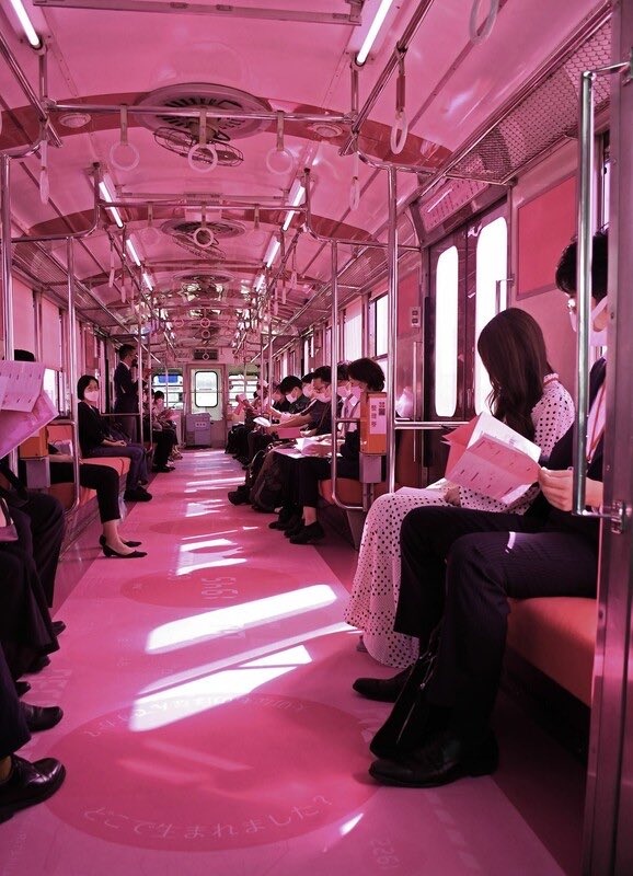 Shiroya tweet media