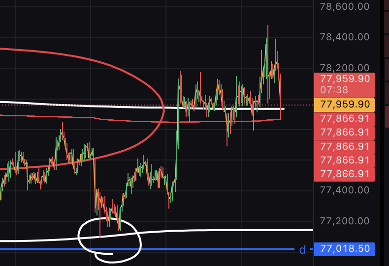 ぽむぽむぷりんてゃん tweet media