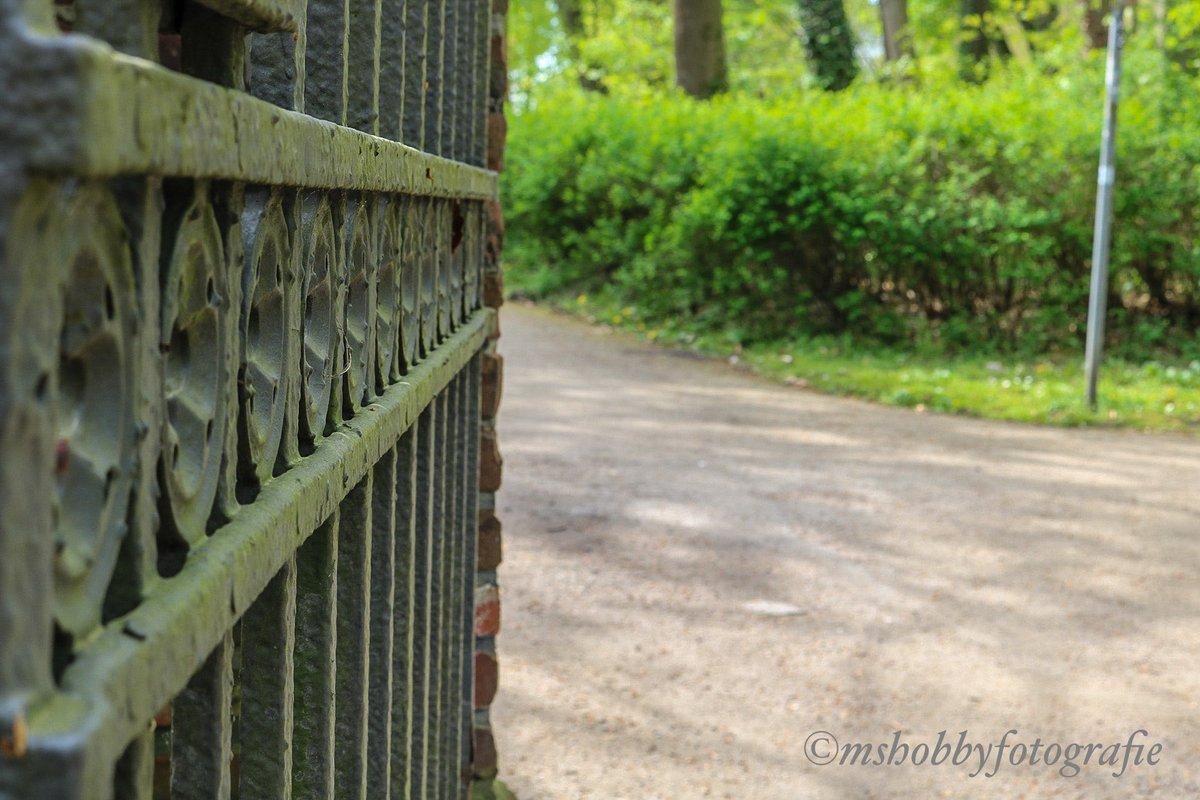 Man_schroeder's tweet photo. Besuch im Schlosspark Buer NRW.
#buernrw #schlosspark #freizeit #frühling #erholung #blumen #bergersee #hobbyfotografie #canon90d https://t.co/ldW1WJSjx0