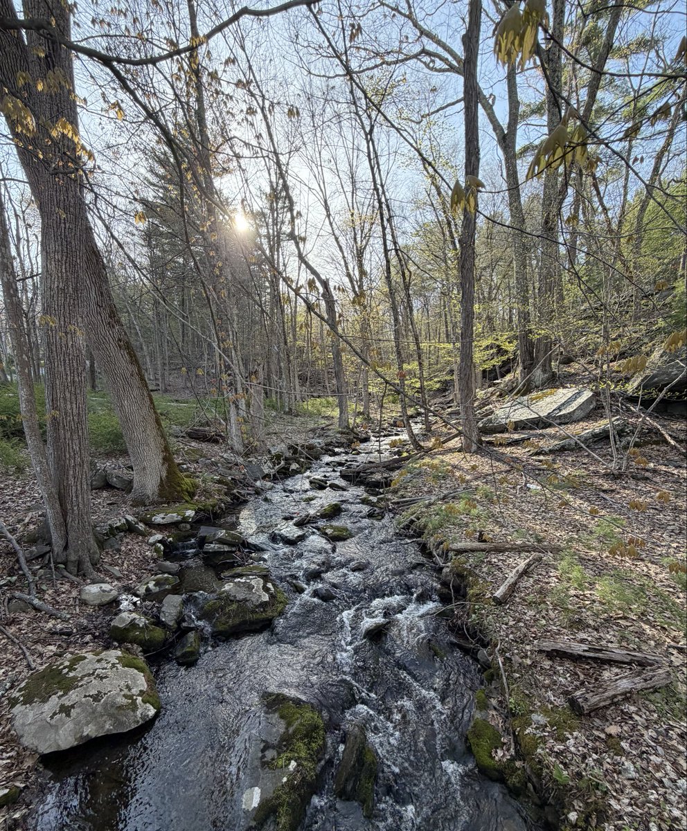 The_Lightmapper's tweet photo. Natural Beauty https://t.co/8h75wkOO04