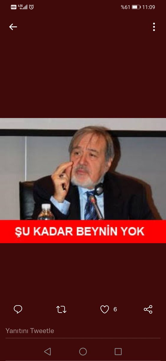 maşide tweet media