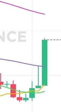 かにめし tweet media