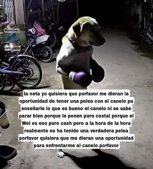 Vader Tercermundista tweet media