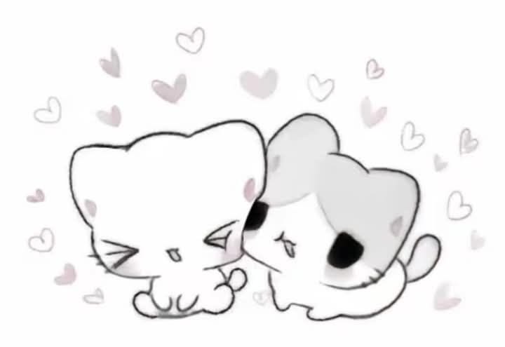 kuno (@assassinei) on Twitter photo 