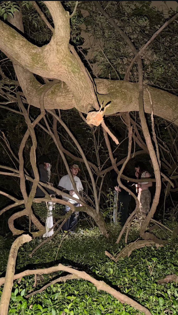 Hayden vía Instagram Stories