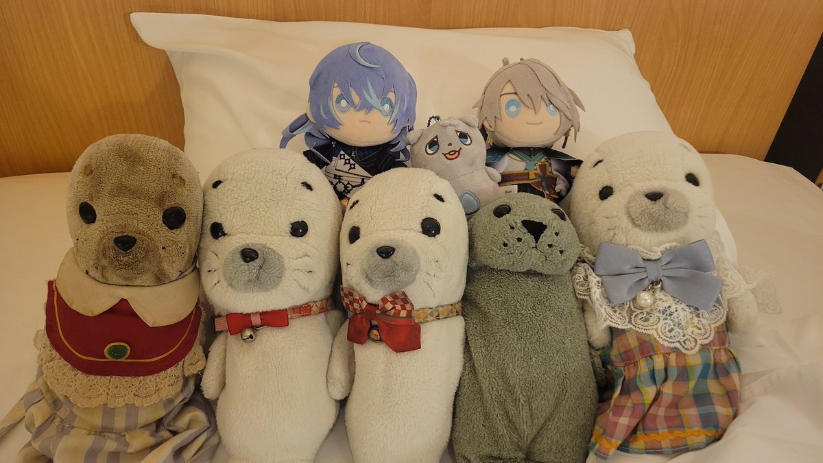 candy__closet's tweet photo. #ゴマちゃんっていいな

旅行楽しかった🦭 https://t.co/7LpeYyJKn6