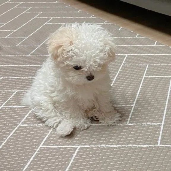 𝑖𝑛𝑔 tweet media