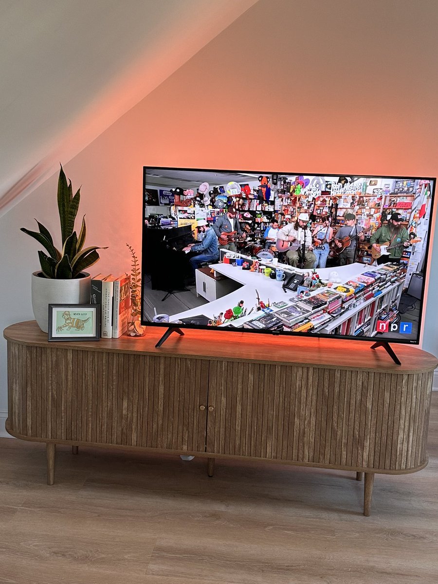 itsy bitsy spider tweet media