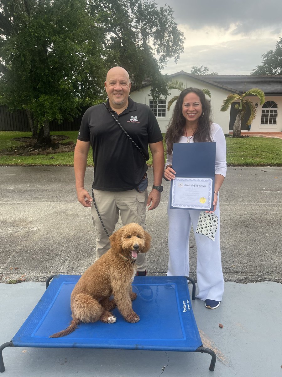 wmhappydogsinc's tweet image. Congratulation to these four graduates 🐾👏👍🎉🎓💯 @wmhappydogsinc 

#dog #dogtraining #doglovers