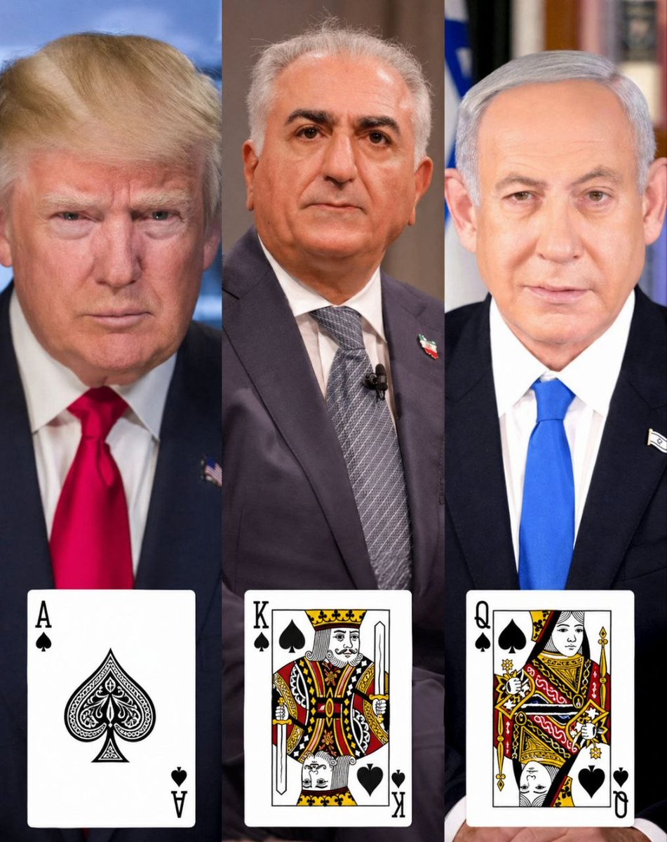 🇮🇷 گربه ی دربار tweet media