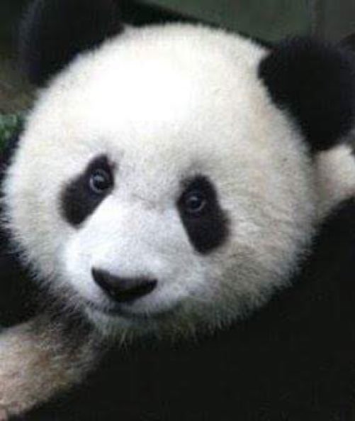 小百合✞🌼🌸 tweet media