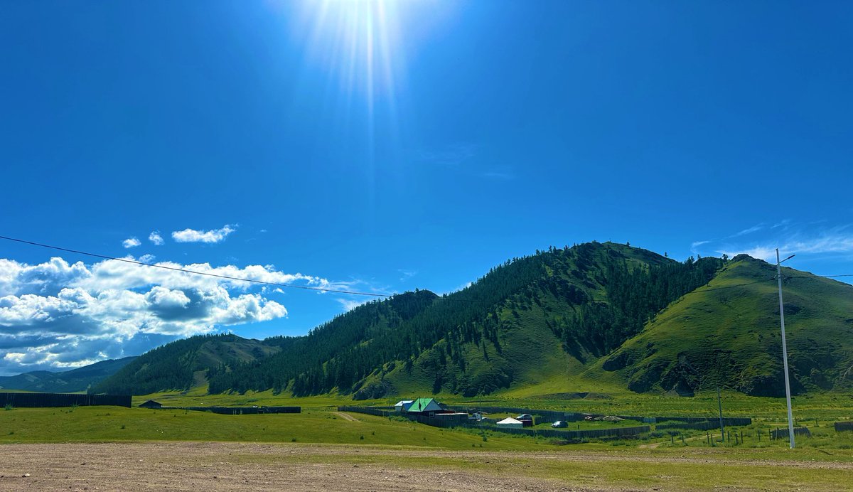 Bayasgalan tweet media