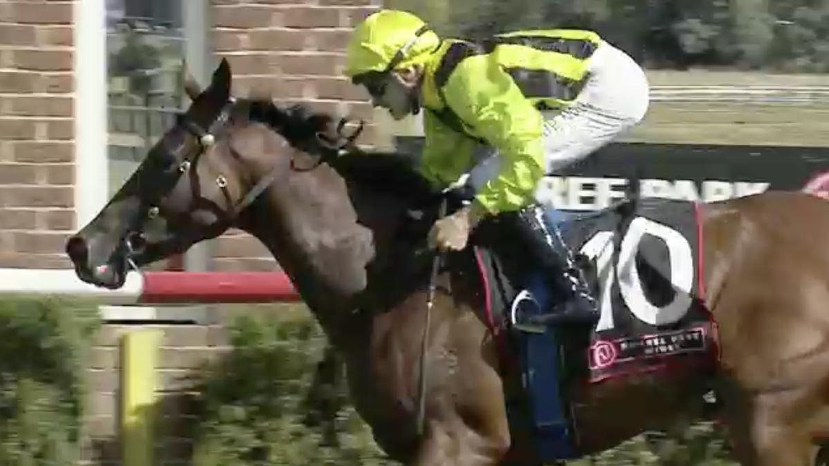 David Pfieffer Racing tweet media