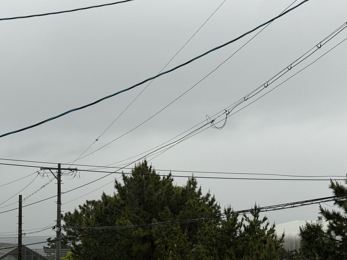 grass(ぐらす)@new_account tweet media