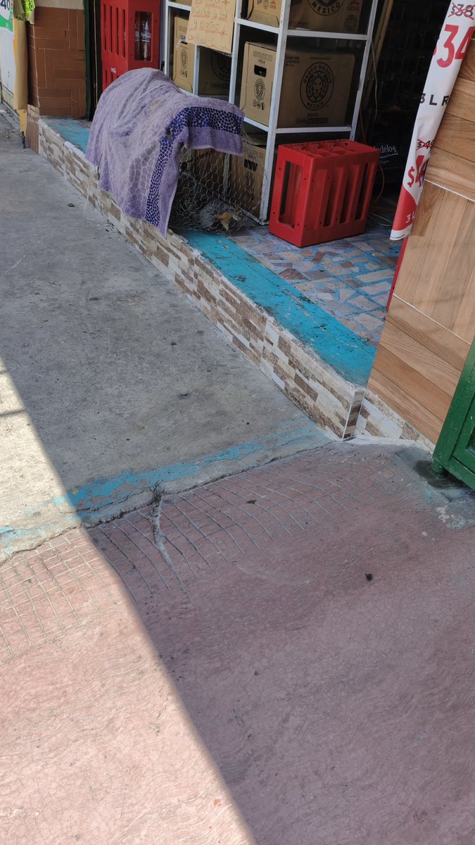 petitvgm's tweet photo. @locatel_mx dnd puedo reportar que tienen una ardilla encerrada, eso  es maltrato animal ? Ote 253 #86 agrícola Oriental @AlcaldiaIzta https://t.co/Bd1ySPz7P8