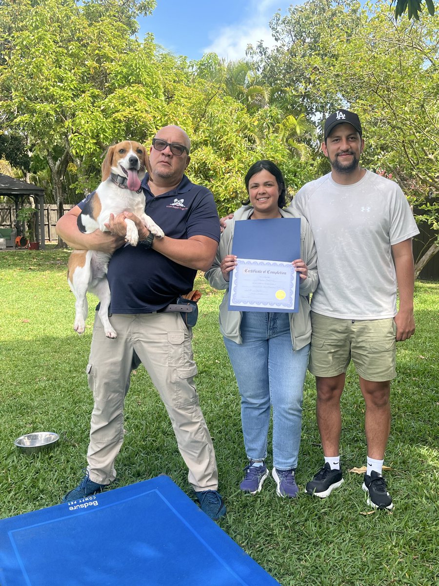 wmhappydogsinc's tweet image. Congrats Simba 👏🎓🎉🐾💯
@wmhappydogsinc 

#huntingdogs #dogtraining #dogs