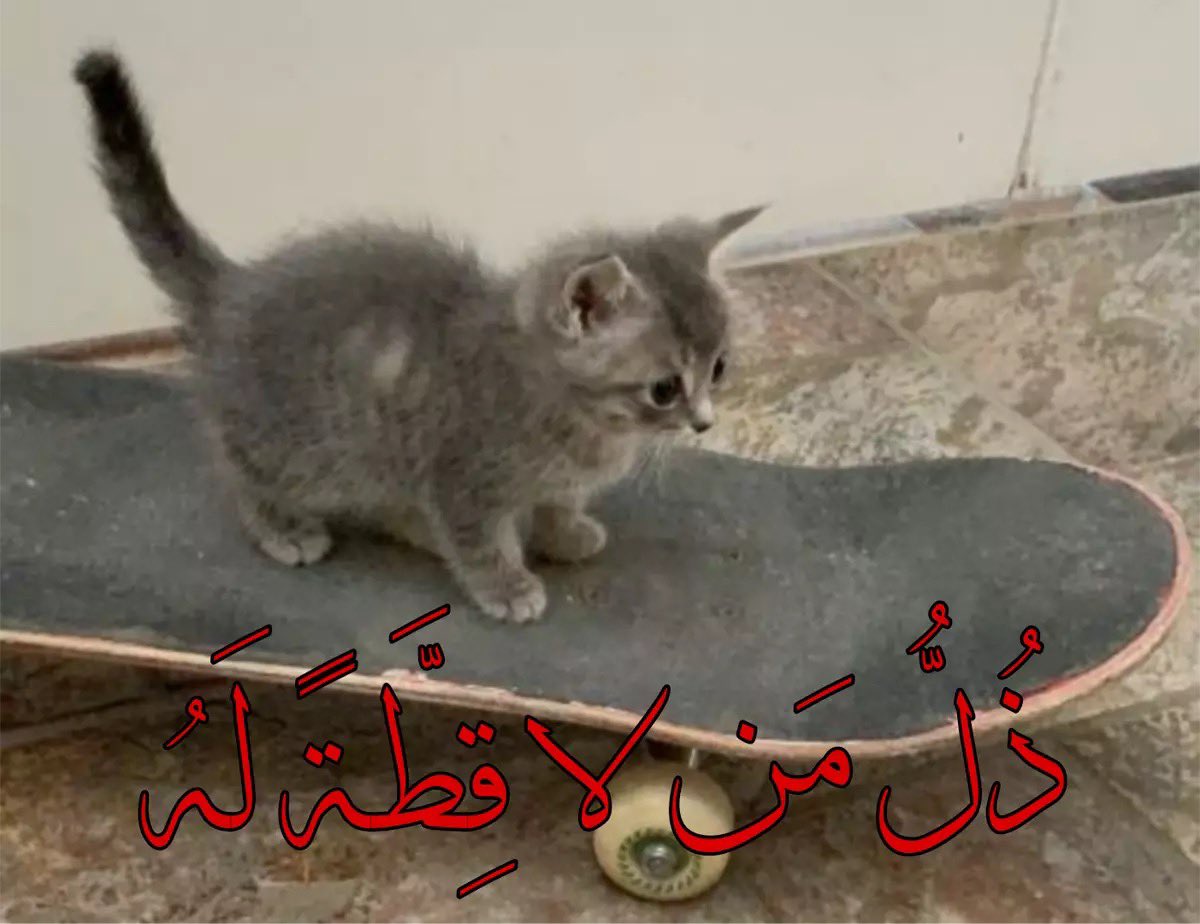 عبدالرحمن tweet media