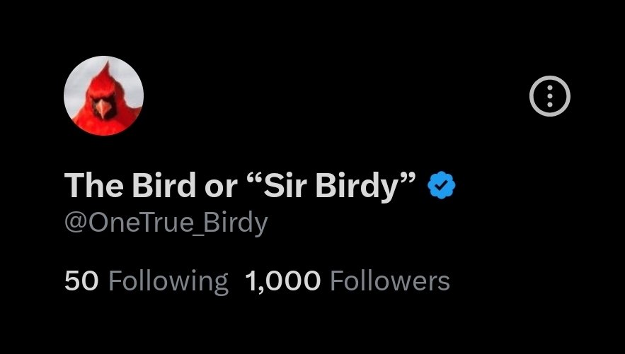 The Bird or “Sir Birdy” tweet media