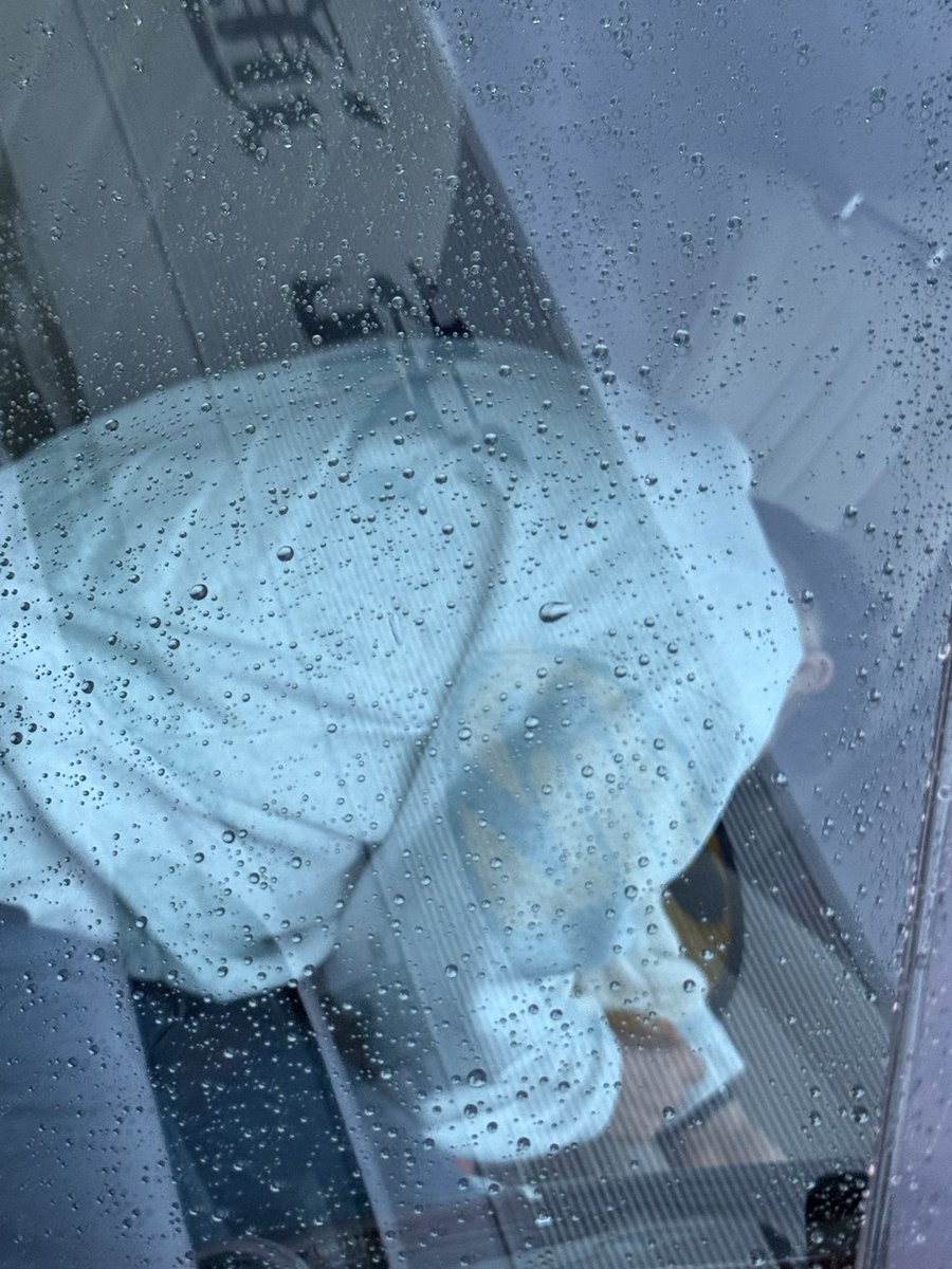 ヨッシー rx7 tweet media