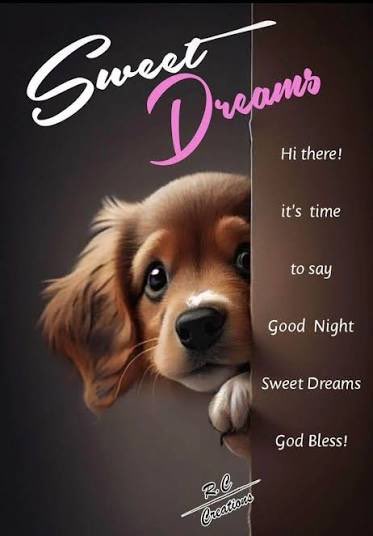 Keepsmiling❤️🫶💖🎀 tweet media