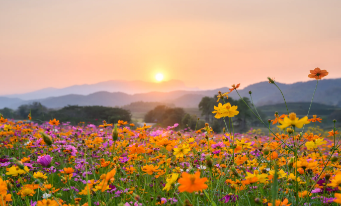 ShannonHypnotic's tweet image. Hypnotherapy bypasses the gatekeeper of logic to work directly with the body's control center.  Rediscover your best self through hypnotherapy. shannon-doyle.com/toxic-relation… 
#hypnosis #hypnotherapy #toxicrelationships #toxicpeople #toxicfamily
#toxicrelationship #toxiclove