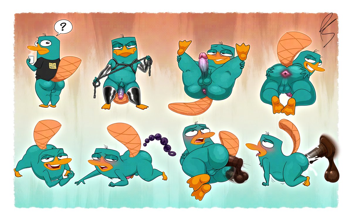 platislut's tweet photo. A platislut? PERRY THE PLATISLUT!? https://t.co/c0T6zc27Up