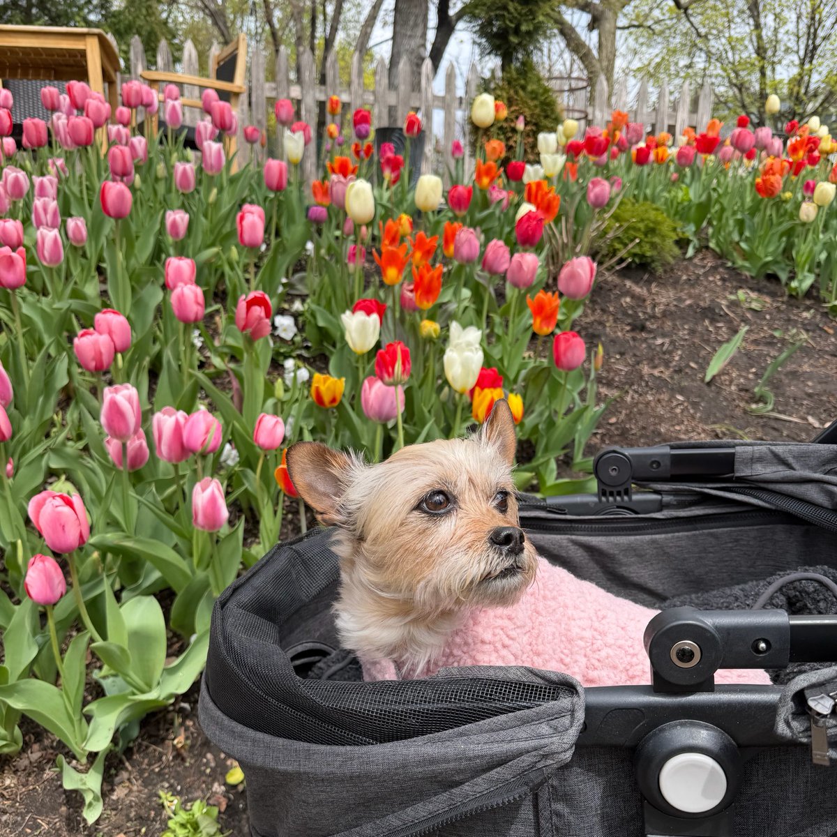 Mike Norton tweet media