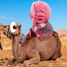 desertass teto