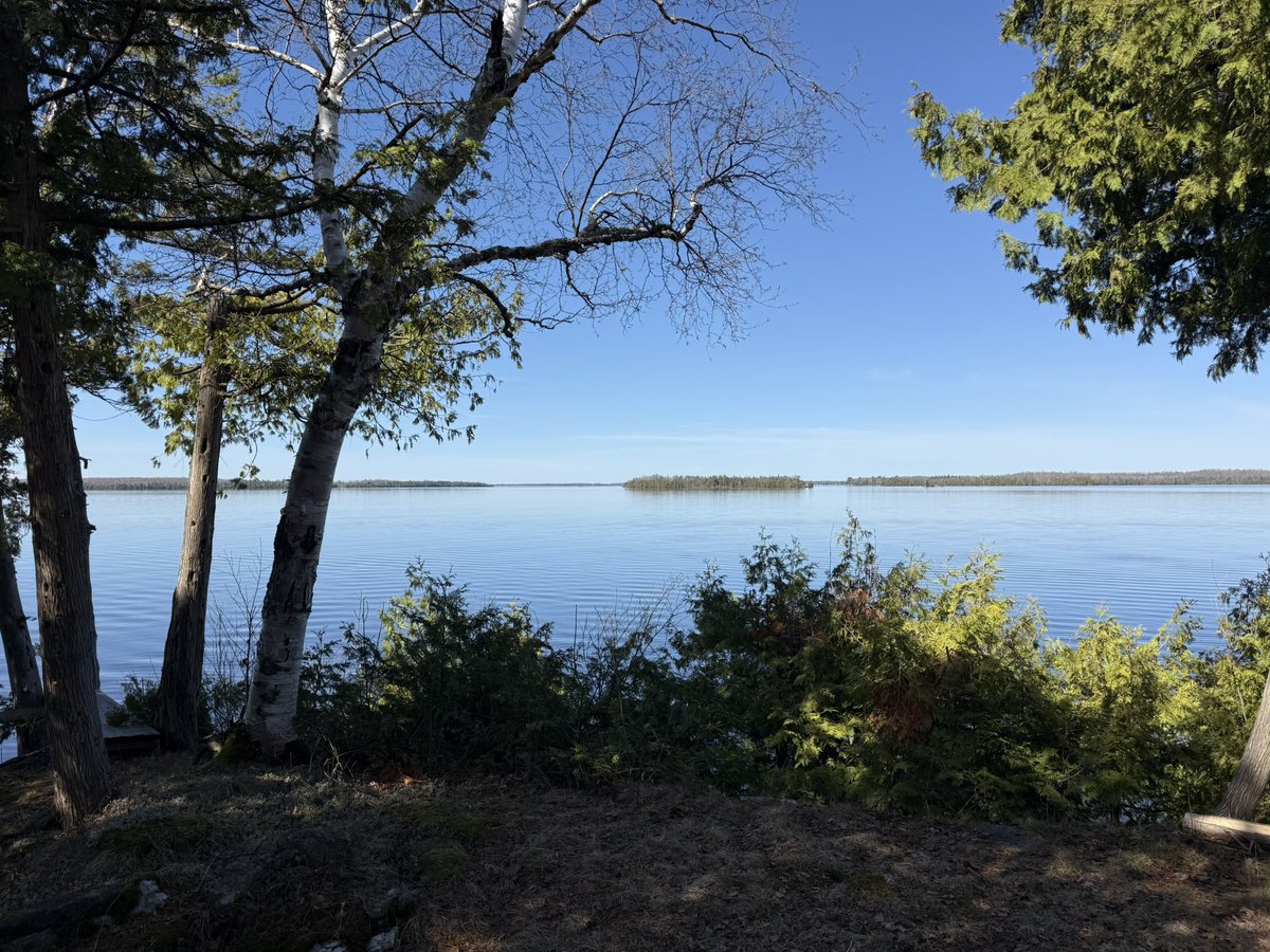 Toad Qui Est Mutant tweet media