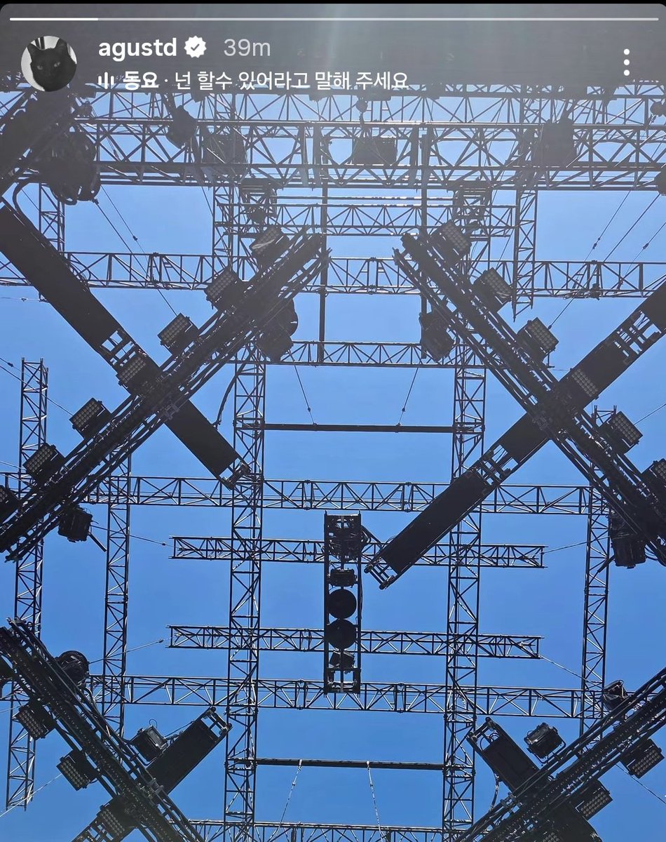 He goes wild for light fixtures